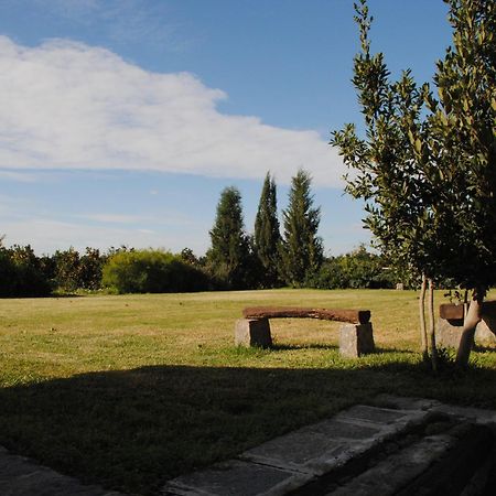 Tenuta Del Gelso CTA Exteriör bild